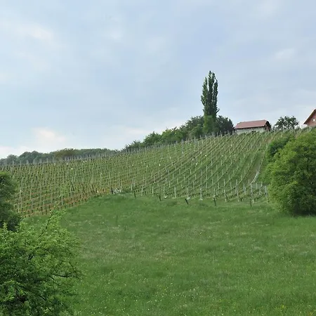 Holiday home Vineyard Keglic