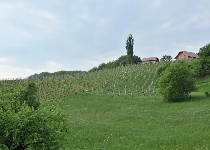Ferienhaus Vineyard Keglic